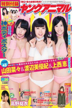 长相思1-40集免费观看